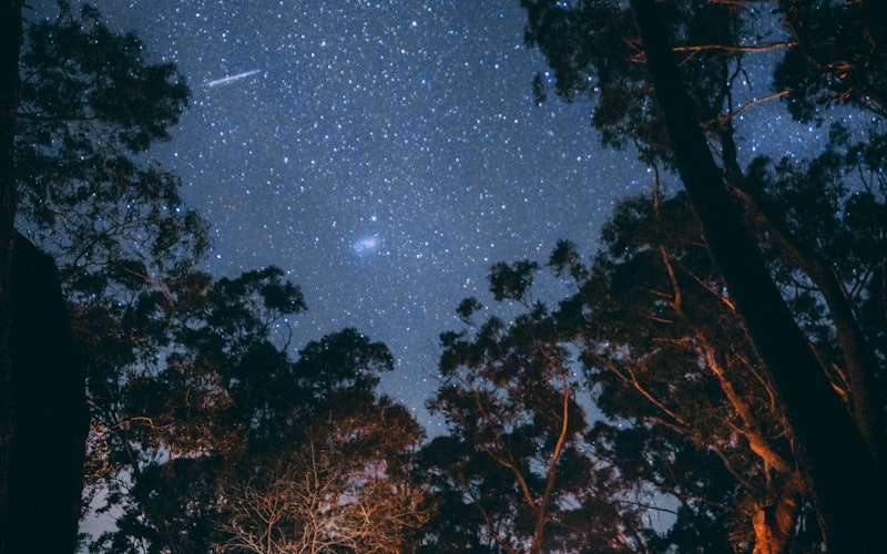 荒野中搭建的舒适露营帐篷与篝火场景